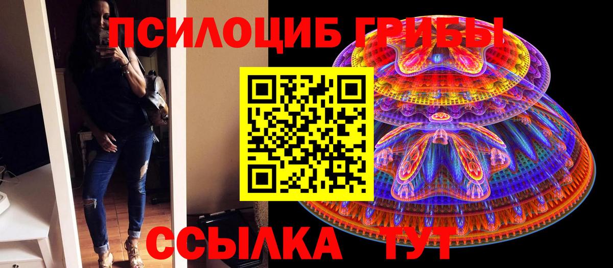 Галлюциногенные грибы Cubensis Сегежа