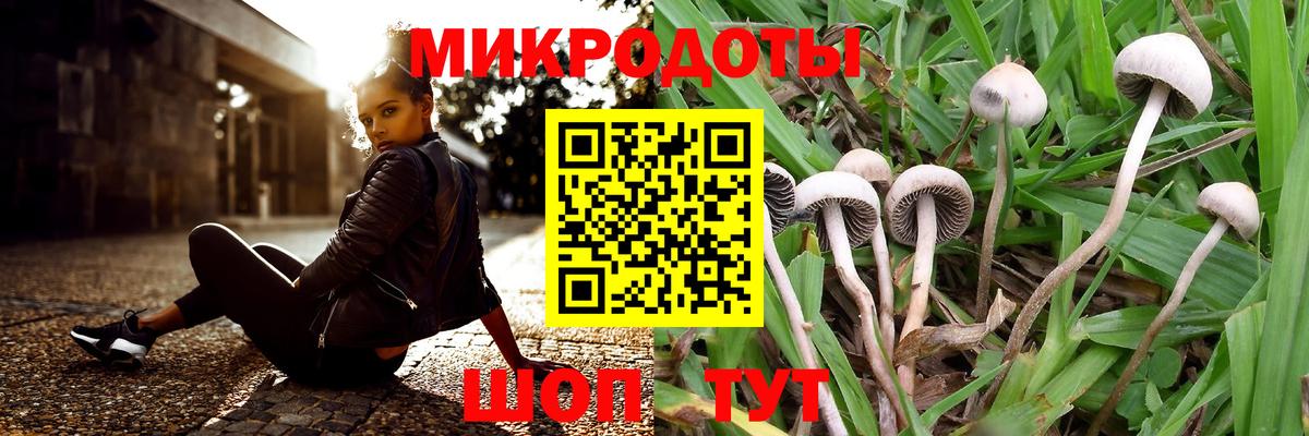Галлюциногенные грибы GOLDEN TEACHER  Вход с VPN  Сегежа 
