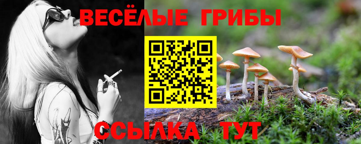 Каннабис  ГАШИШ  Сегежа  Вход с VPN  Лсд 25  ГАШИШ  МЕФ  