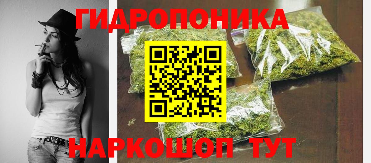 Каннабис сатива Сегежа